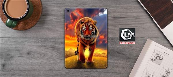 Ảnh đại diện sản phẩm Skin ipad đẹp