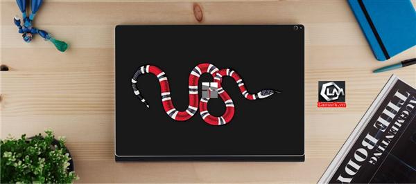 Ảnh đại diện sản phẩm skin laptop mặt lưng