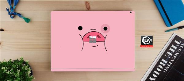 Ảnh đại diện sản phẩm skin laptop mặt lưng