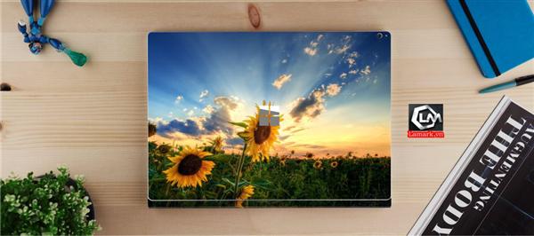Ảnh đại diện sản phẩm skin laptop mặt lưng