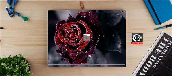 Ảnh đại diện sản phẩm skin laptop mặt lưng