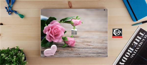 Ảnh đại diện sản phẩm skin laptop mặt lưng