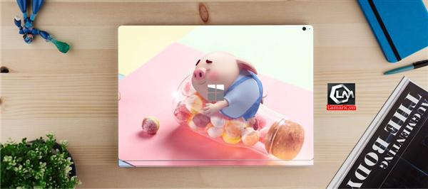 Ảnh đại diện sản phẩm skin laptop mặt lưng