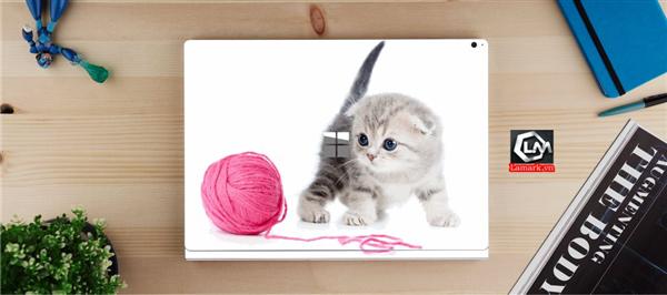 Ảnh đại diện sản phẩm skin laptop mặt lưng
