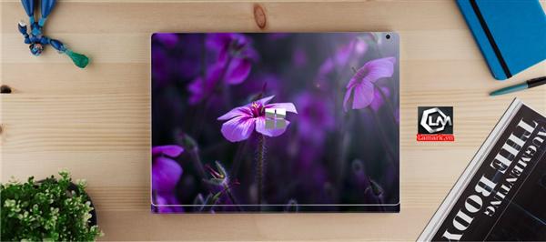 Ảnh đại diện sản phẩm skin laptop mặt lưng