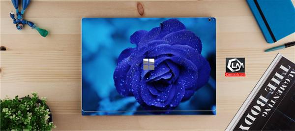 Ảnh đại diện sản phẩm skin laptop mặt lưng