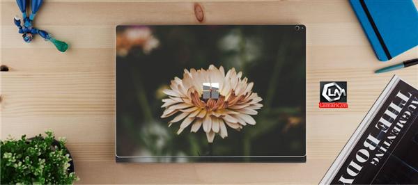 Ảnh đại diện sản phẩm skin laptop mặt lưng