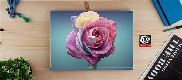 Ảnh đại diện sản phẩm skin laptop mặt lưng