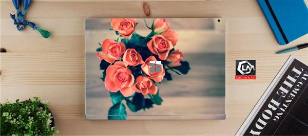 Ảnh đại diện sản phẩm skin laptop mặt lưng