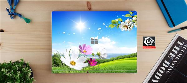 Ảnh đại diện sản phẩm skin laptop mặt lưng