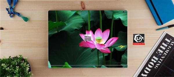 Ảnh đại diện sản phẩm skin laptop mặt lưng