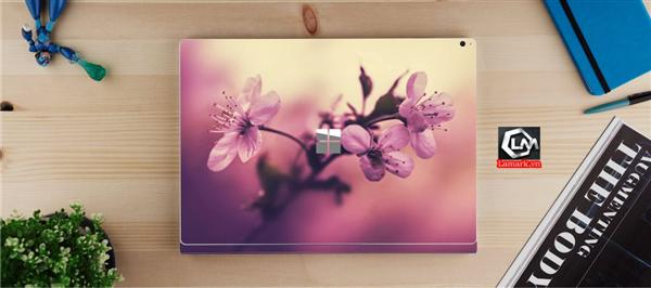 Ảnh đại diện sản phẩm skin laptop mặt lưng