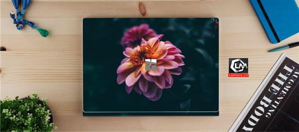 Ảnh đại diện sản phẩm skin laptop mặt lưng