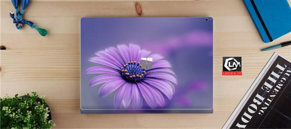 Ảnh đại diện sản phẩm skin laptop mặt lưng