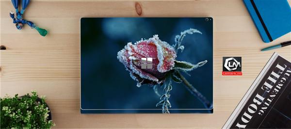 Ảnh đại diện sản phẩm skin laptop mặt lưng