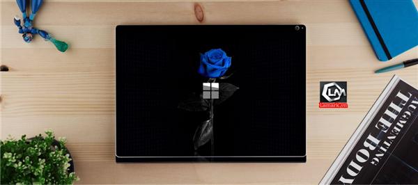 Ảnh đại diện sản phẩm skin laptop mặt lưng