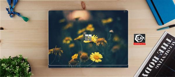 Ảnh đại diện sản phẩm skin laptop mặt lưng