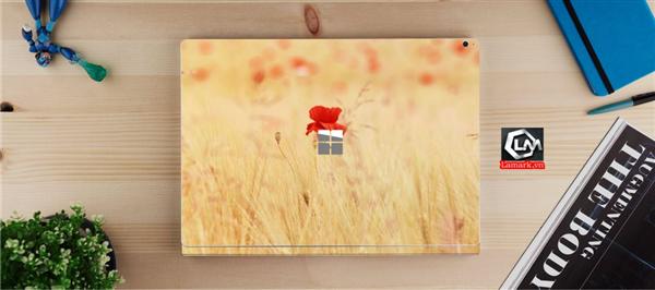 Ảnh đại diện sản phẩm skin laptop mặt lưng