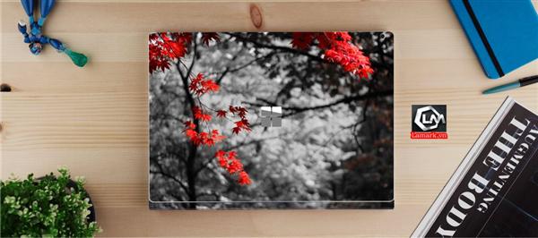 Ảnh đại diện sản phẩm skin laptop mặt lưng