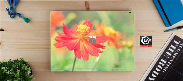 Ảnh đại diện sản phẩm skin laptop mặt lưng