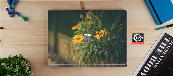 Ảnh đại diện sản phẩm skin laptop mặt lưng