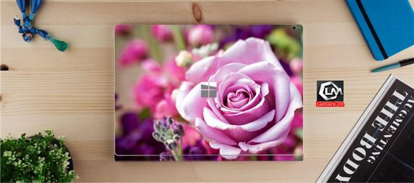 Ảnh đại diện sản phẩm skin laptop mặt lưng