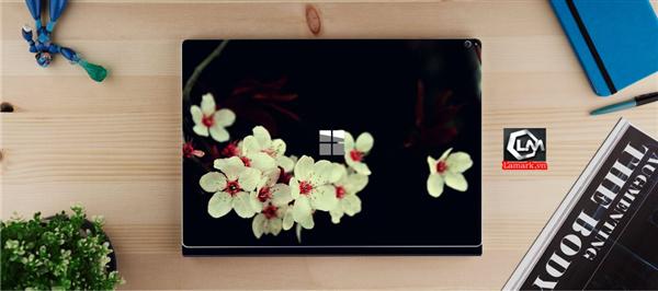 Ảnh đại diện sản phẩm skin laptop mặt lưng