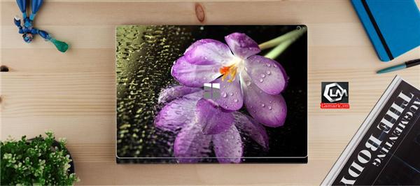 Ảnh đại diện sản phẩm skin laptop mặt lưng