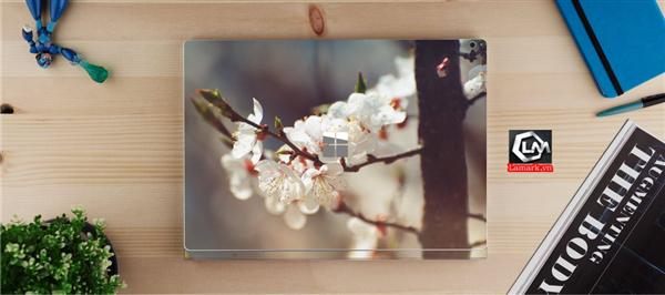 Ảnh đại diện sản phẩm skin laptop mặt lưng