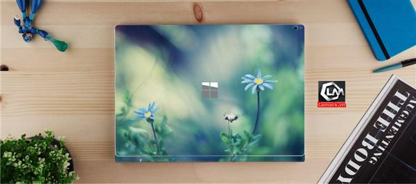 Ảnh đại diện sản phẩm skin laptop mặt lưng