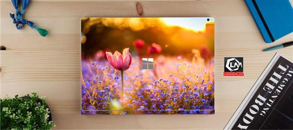 Ảnh đại diện sản phẩm skin laptop mặt lưng