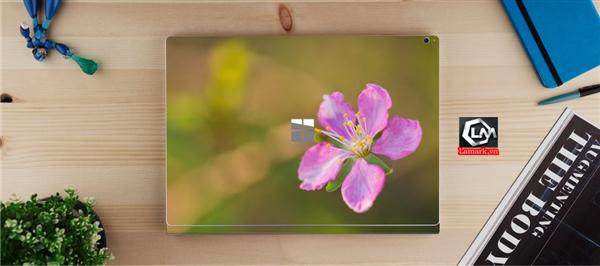 Ảnh đại diện sản phẩm skin laptop mặt lưng