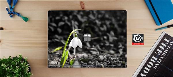 Ảnh đại diện sản phẩm skin laptop mặt lưng