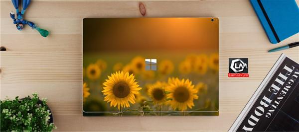 Ảnh đại diện sản phẩm skin laptop mặt lưng