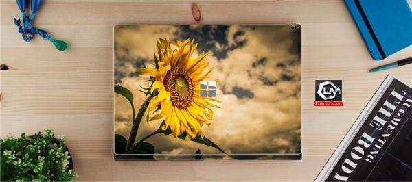 Ảnh đại diện sản phẩm skin laptop mặt lưng