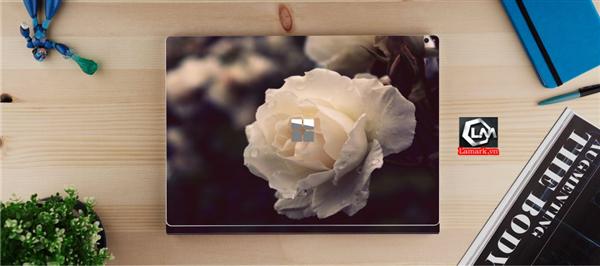 Ảnh đại diện sản phẩm skin laptop mặt lưng