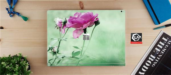 Ảnh đại diện sản phẩm skin laptop mặt lưng