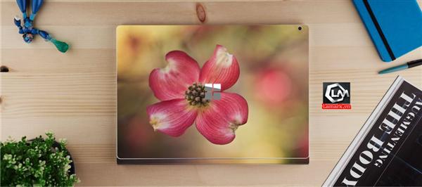 Ảnh đại diện sản phẩm skin laptop mặt lưng