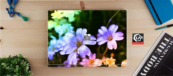 Ảnh đại diện sản phẩm skin laptop mặt lưng