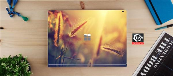 Ảnh đại diện sản phẩm skin laptop mặt lưng