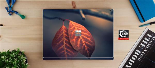 Ảnh đại diện sản phẩm skin laptop mặt lưng