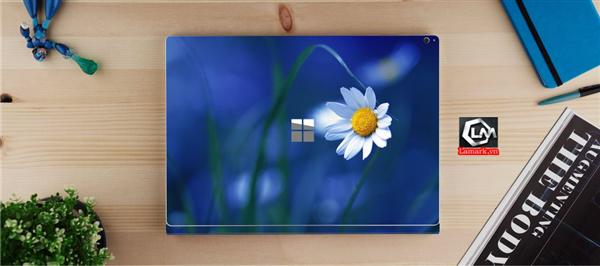 Ảnh đại diện sản phẩm skin laptop mặt lưng