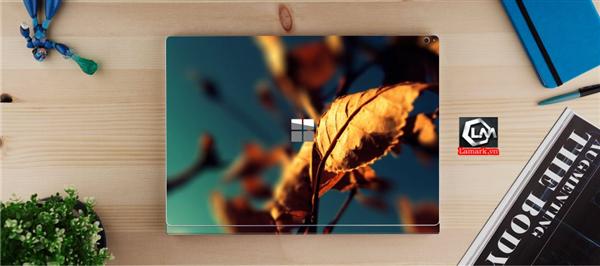 Ảnh đại diện sản phẩm skin laptop mặt lưng