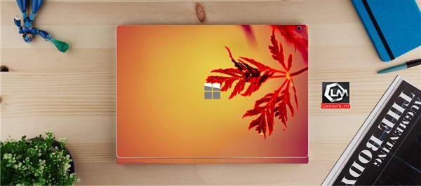 Ảnh đại diện sản phẩm skin laptop mặt lưng