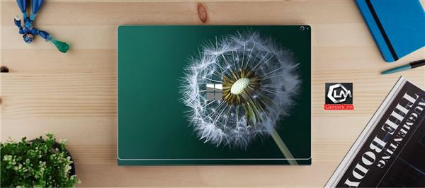 Ảnh đại diện sản phẩm skin laptop mặt lưng
