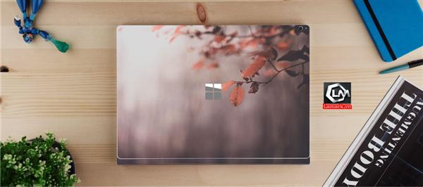 Ảnh đại diện sản phẩm skin laptop mặt lưng