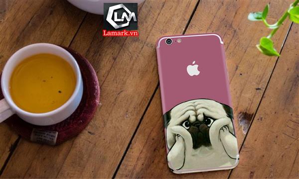 Ảnh đại diện sản phẩm skin Iphone