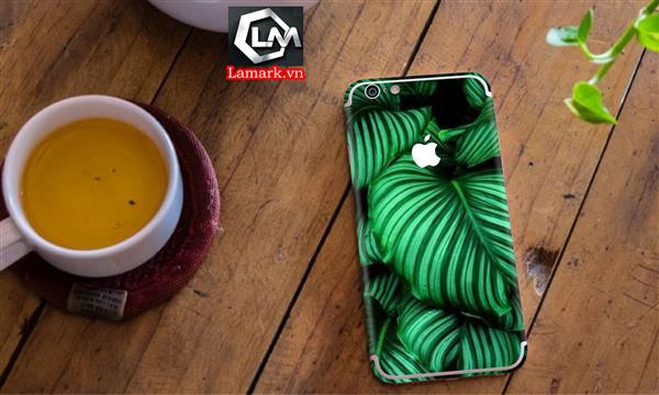 Ảnh đại diện sản phẩm skin Iphone