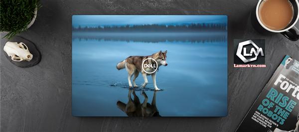 Ảnh đại diện sản phẩm Dán skin laptop mặt lưng và full phím động vật D116