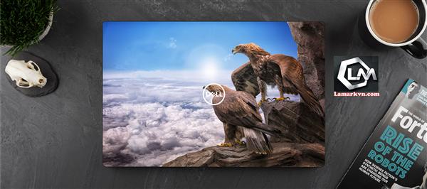 Ảnh đại diện sản phẩm Dán skin laptop mặt lưng và full phím động vật D113
